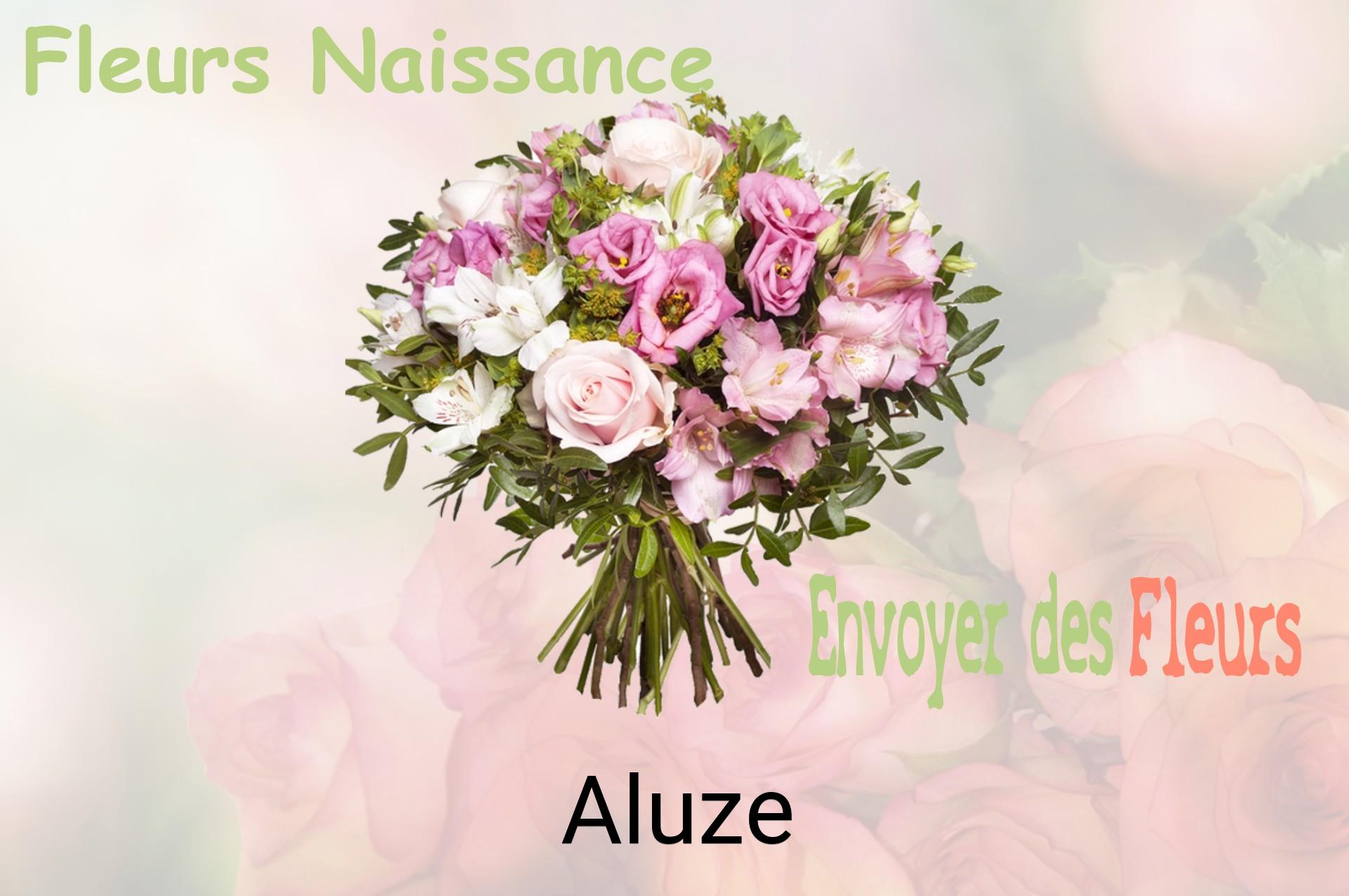 Bouquet de fleurs de naissance livré à Aluze