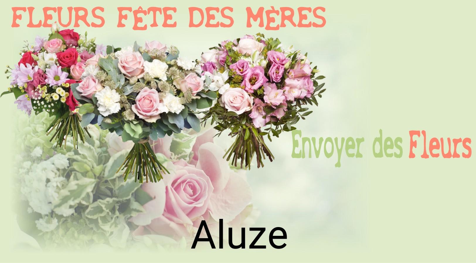 Bouquet de Fête des Mères livré à Aluze
